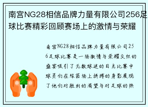 南宫NG28相信品牌力量有限公司256足球比赛精彩回顾赛场上的激情与荣耀交织的瞬间