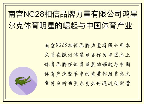南宫NG28相信品牌力量有限公司鸿星尔克体育明星的崛起与中国体育产业的变革探索